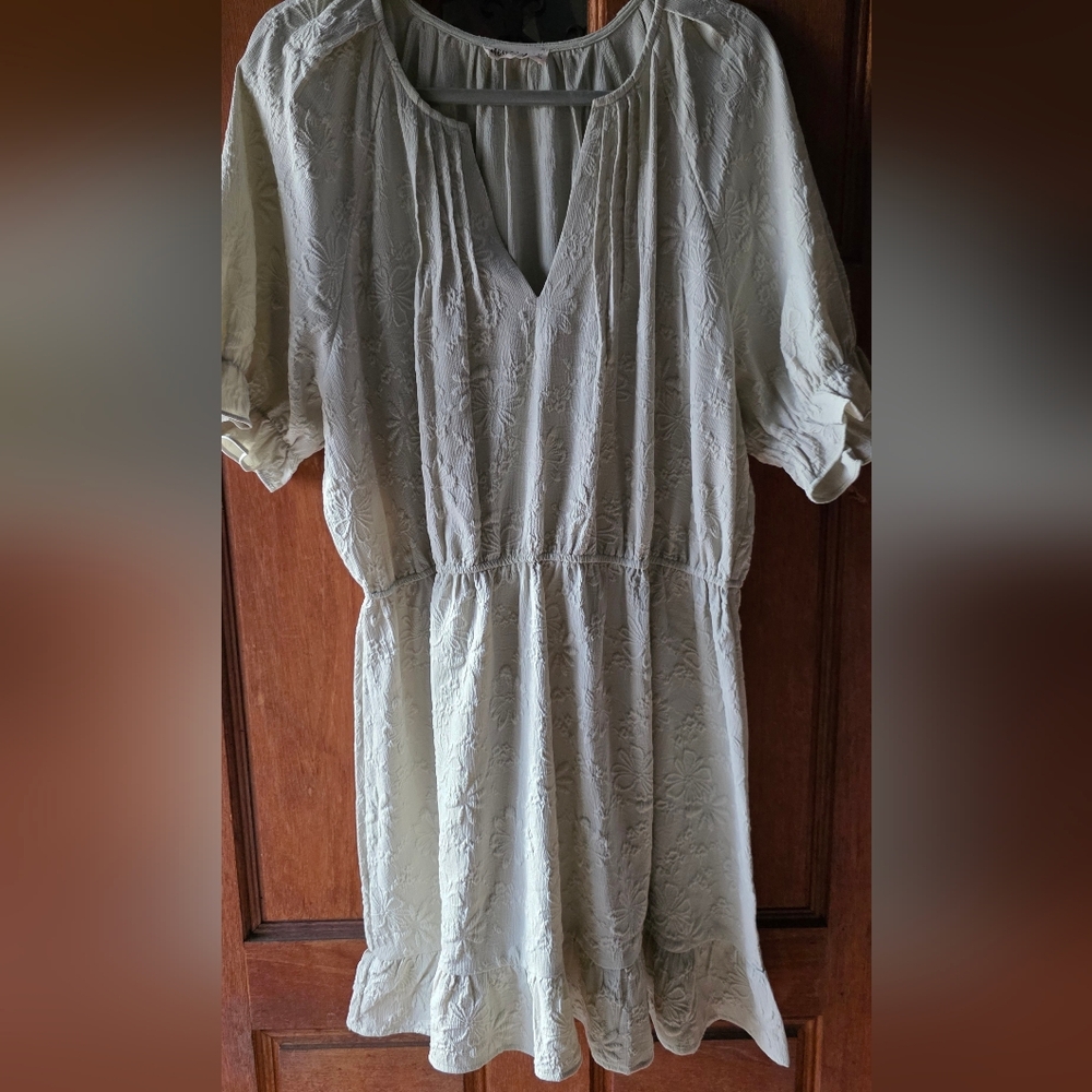 New In Sage Dress 2x